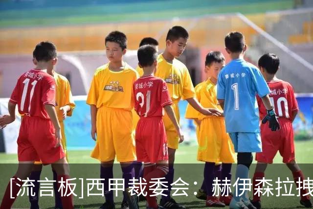 [流言板]西甲裁委会：赫伊森拉拽小西蒙尼判红点正确，VAR介入合理